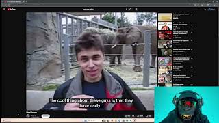 Elephants have long trunks