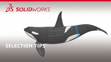 10 Selection Tips on xShape