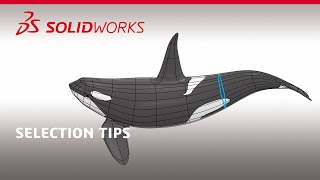 10 Selection Tips on xShape