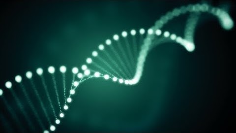 Rotating DNA Glowing Molecule on Green Background | Videohive Project Templates