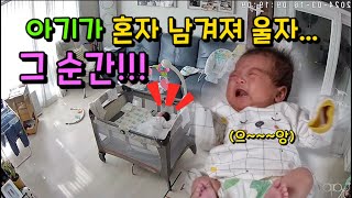 혼자 남겨진 아기가 울자...그 순간!!! 45일된 아기 리아 에게 무슨일이? #한평가족 #baby #육아브이로그