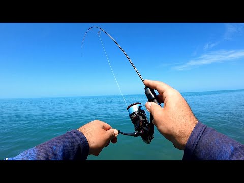 სტავრიდა nano blue bird-ზე,  ახალი მოდელის ტესტი.