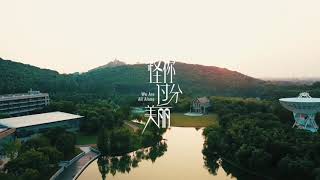 We Are All Alone | 怪你过分美丽 OST and FMV (Qin Lan Version)
