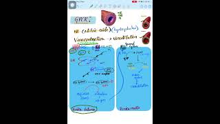The Secret Science Inside Your Heart | GPCR in blood vessels | cell communication #lifescience #neet