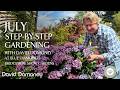 July | Step-by-Step Gardening at Blue Diamond's Bridgemere Show Gardens | Ep 17