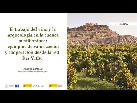 2026/09/15 ITER VITIS Conference 02 Emanuela P