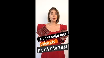 Nhận biết, phân biệt đồ da cá sấu thật - FTT Leather