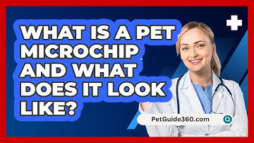 What Is A Pet Microchip And What Does It Look Like? - PetGuide360.com