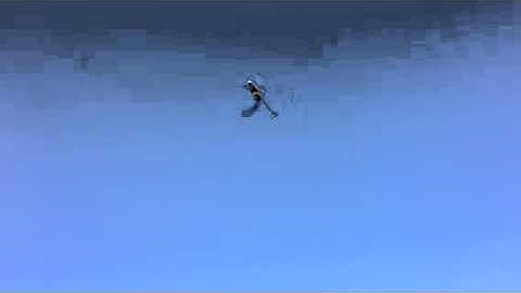 Nano first inverted flight