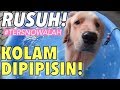 TERSNOWALAH! KOLAM ES DIKENC1NG1N, PAPA AUTO KABUR! | THE GOLDEN FAMILY