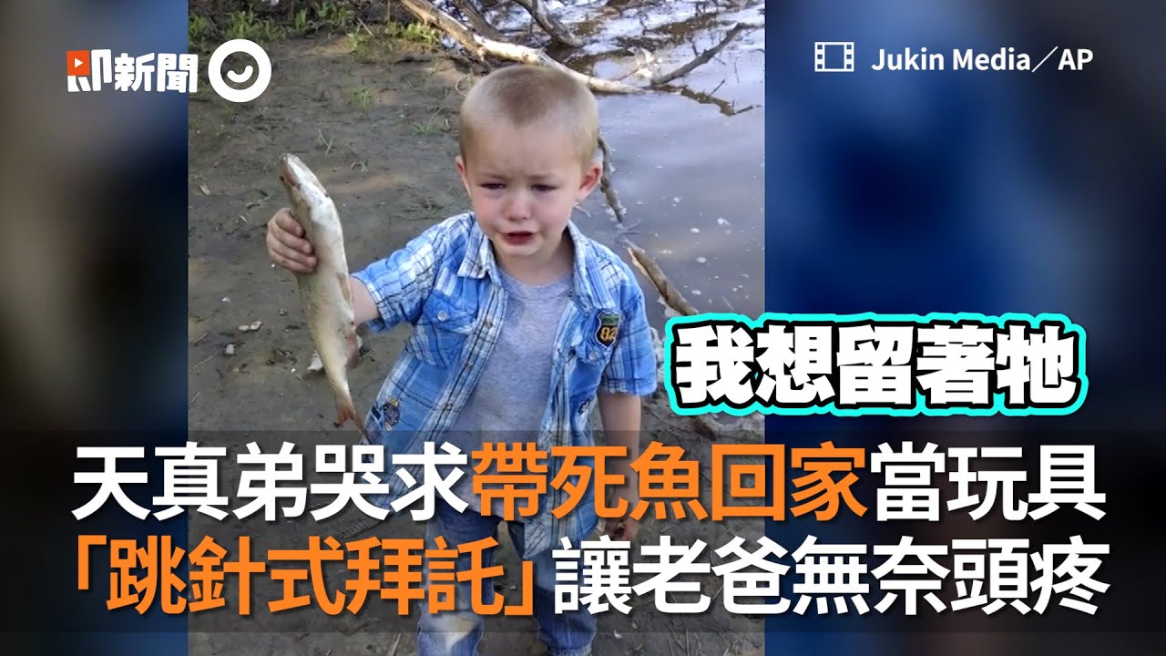 弟弟狂拜託 哭求帶死魚回家 老爸搖頭超無奈｜萌娃｜親子