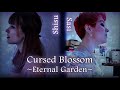 【Shisuka x Sasi】☆ Cursed Blossom ~Eternal Garden~「雄之助 ft. Selphius」