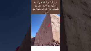 Amazing! A plant breaks through solid stone walls#quotes#islamicvideo #islamicshorts