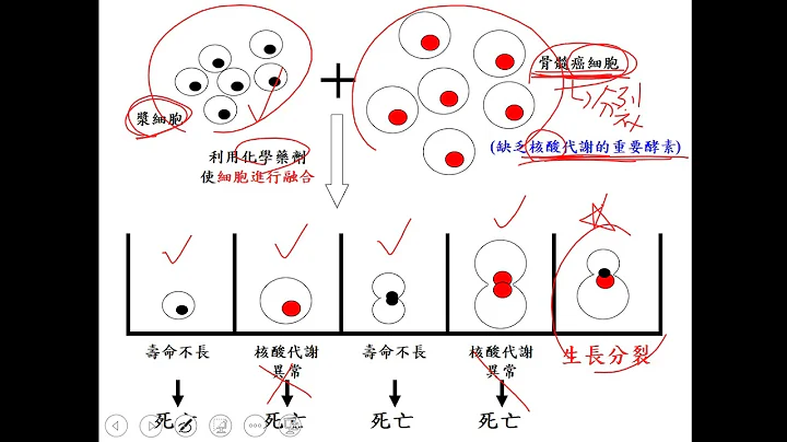 多株抗体与单株抗体的制作方法与原理 - 天天要闻