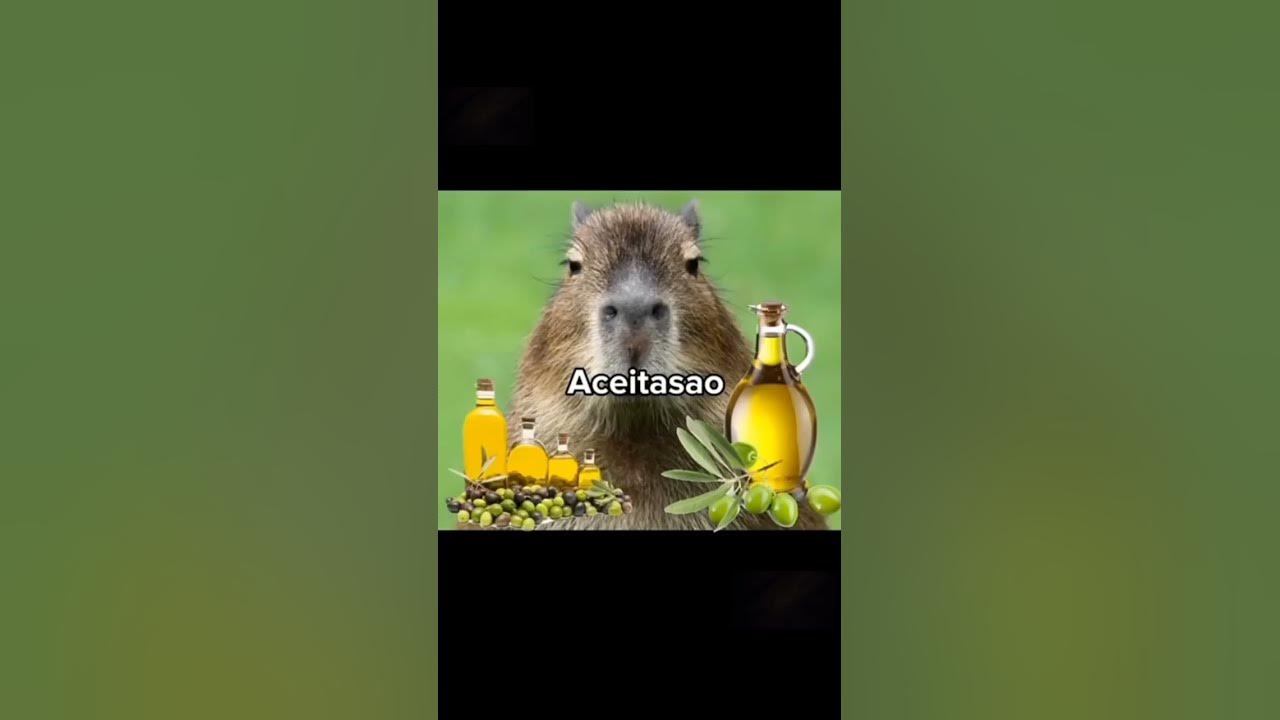 Capivara meme 