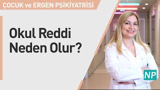 Okul Reddi Neden Olur?