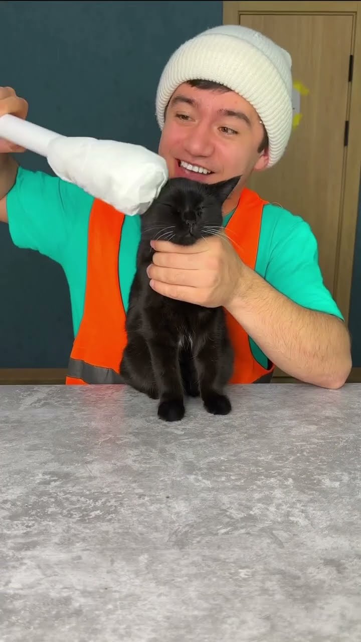 don't forget to take care of your pets