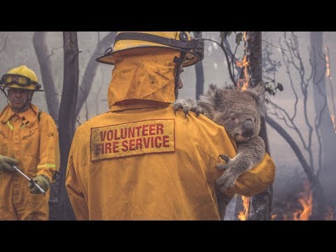 NRMA Insurance TV Ad 2018- Help is who we are (LV)