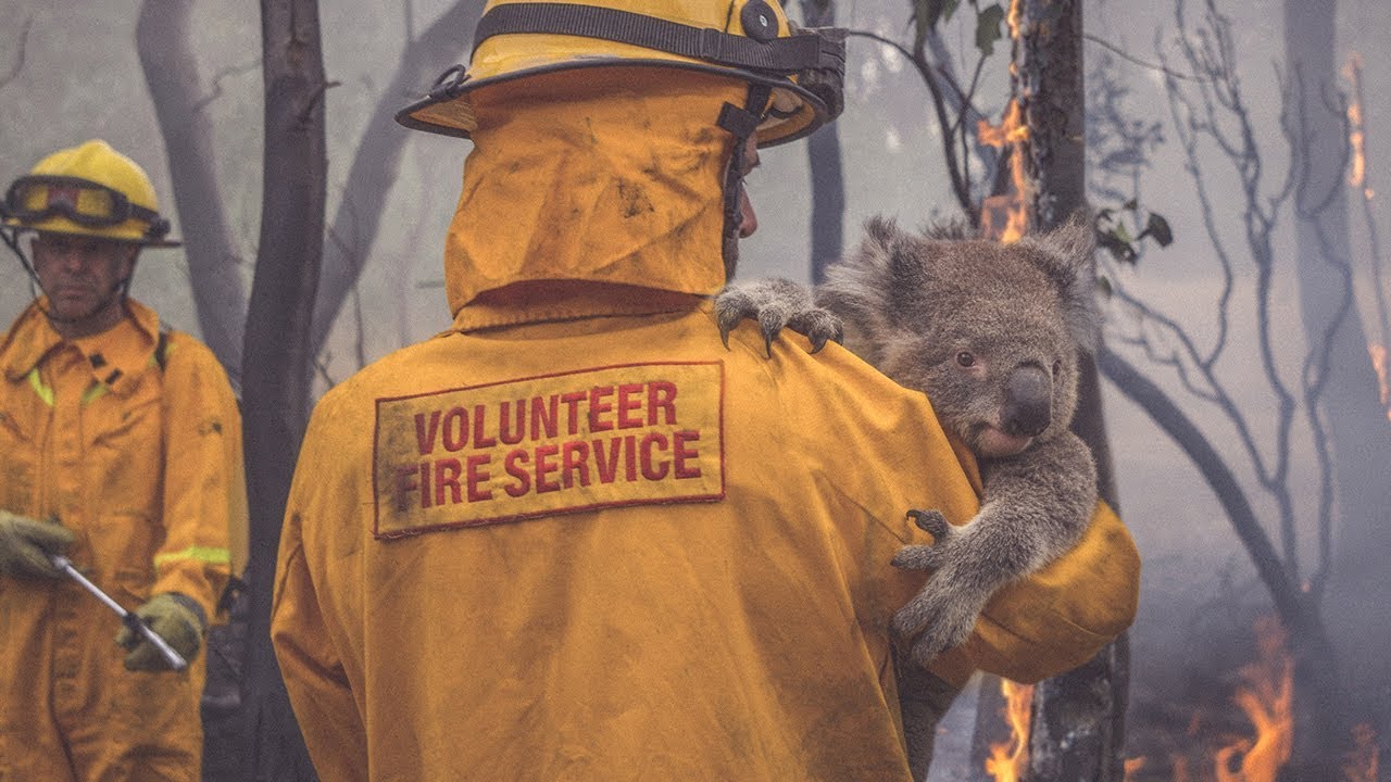 Nrma Insurance Ads