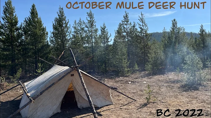 British Columbia October Mule Deer Hunt 2022