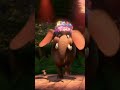 🐘 Elephant Got Talent! | Jungle Dance Championship 😂🌿📝 #ElephantDance #FunnyAnimals #wildlife