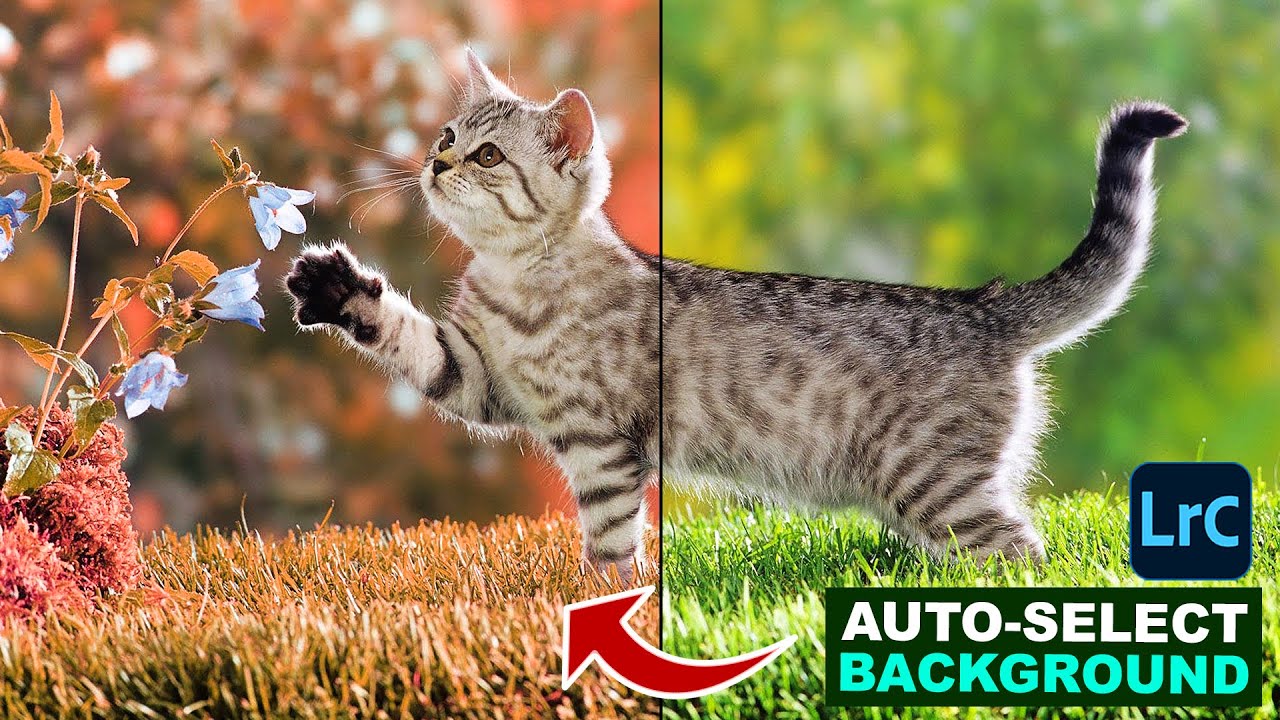 how-to-auto-select-background-and-change-color-in-lightroom-2023-youtube