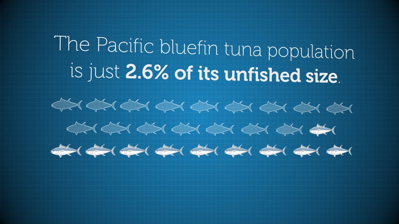 WORLD TUNA DAY — INTERNATIONAL DAYS