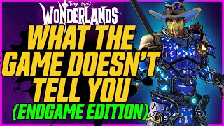 Stop Using This Armor Everything Wonderlands Doesnt Tell You Endgame Edition Part 1