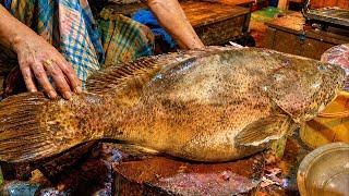 Massive 10KG Grouper Fish Cleaning and Processing | Seafood Skills ASMR | Seafood Lovers