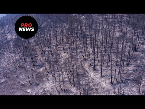 Βίντεο: Τι είναι μεγαλύτερα εκτάρια ή στρέμματα;