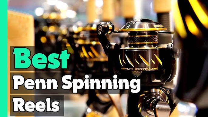 ✓Top 5: Best Daiwa Spinning Reels In 2023 🎣 [ Best Spinning Reels Reviews  ] 