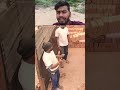 गरीब ने उठाया इतना ज्यादा इट 🫣🫣💪 #funny #comedy #shorts