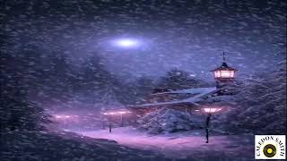 Owls Christmas   -   AudioERA