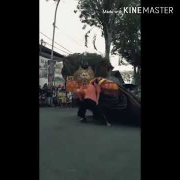 Story wa terbaru 2019  mundur alon alon versi Reog Singo Ngumboro Pasirian Lumajang