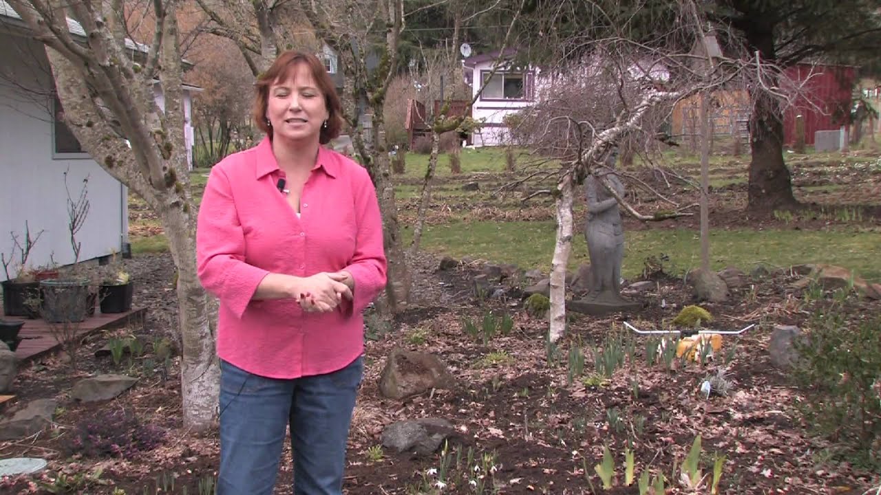 Garden Design Care Flower Bed Ideas Youtube