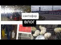 VLOG ЗАКУПКА ПРОДУКТОВ НА НЕДЕЛЮ/ПОХОД В СВЕТОФОР/ЦЫПЛЯТА#Домашний влог#магазин светофор