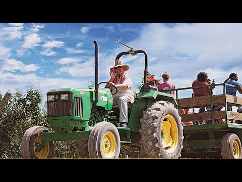 რამდენად თანხვედრაშია ბიოწარმოების ხელშეწყობის პროგრამა  ტურიზმის სტრატეგიასთან