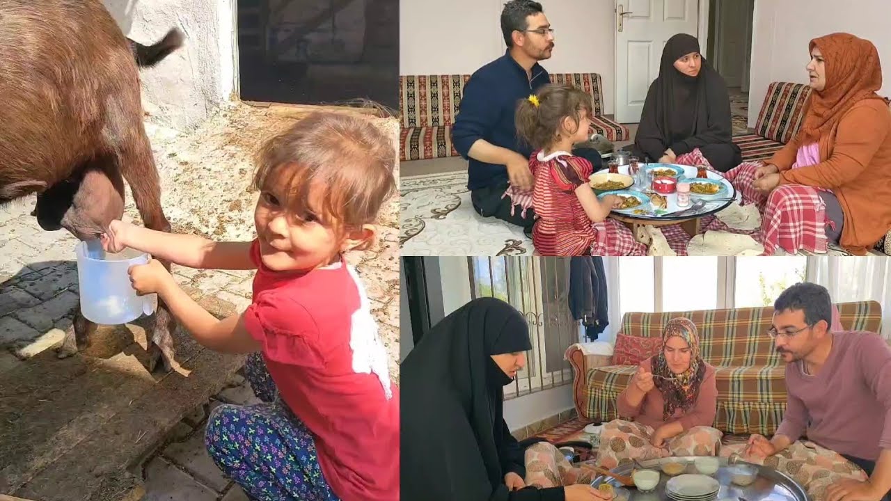 Taze Fasulye Yemeği (bahçeden) - Hifa süt sağıyor - şiddetli yağmur. #köyhayatı