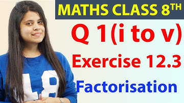 Q 1(i) to (v) - Ex 12.3 - Factorisation - Maths Class 8th - Chapter 12, CBSE