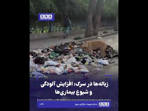 زباله‌ها در سرک؛ افزایش آلودگی و شیوع بیماری‌ها