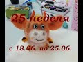 25 неделя 2021г. (с 18.06. по 25.06.)