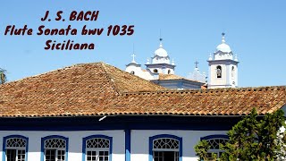 J. S. BACH - FLUTE SONATA IN E MAJOR, BWV 1035 III - FLUTE, HARPSICHORD - BAROQUE MUSIC