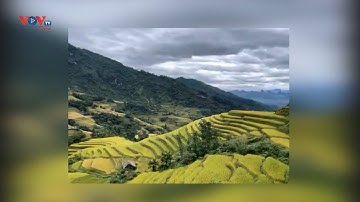 Hà Giang: Khám phá ruộng bậc thang qua tour du lịch online