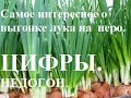 Самое интересное о выгонке лука на перо. ЦИФРЫ. Уборка лука на перо. Итоги. Недогон лука на перо!!