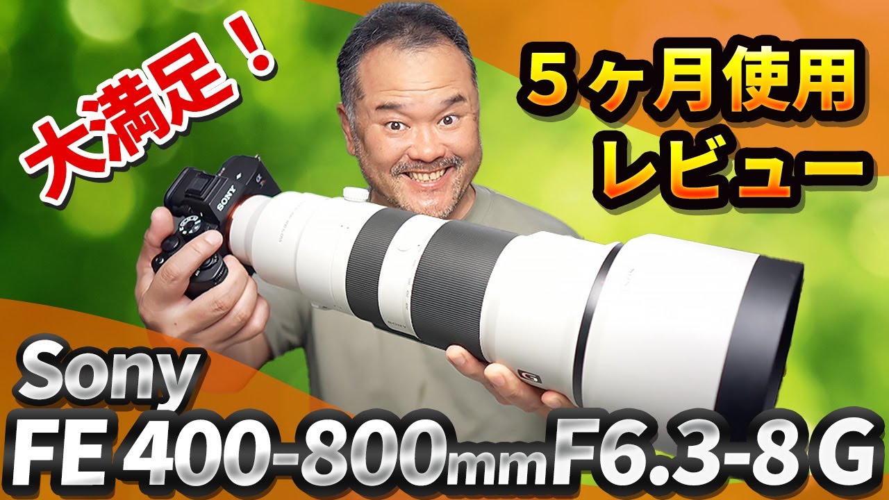 【5ヶ月レビュー】Sony FE 400-800mm F6.3-8 G OSS｜野鳥入門に最適！でも次はサンニッパが欲しくなる話