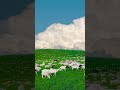 ویو رو حسی ک بهت میده رو کامنت کن طبیعت جنگل گوسفند چمن بچه سبزی آرامش Relax Mind ویو رو حسی ک بهت میده رو کامنت کن طبیعت جنگل گوسفند چمن بچه سبزی آرامش Relax Mind