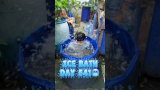 ICE BATH day 541 🧊🥶#motivation #discipline #icebath #recovery #olahraga #saitama #workoutchallenge