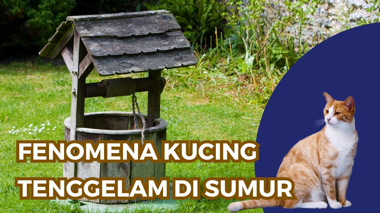 CARA MENSUCIKAN KEMBALI SUMUR YANG TERKENA NAJIS