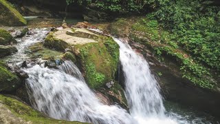 Peaceful River Flowing Sound. Gentle River, Relaxing Nature Sounds. White Noise for Sleep, Study