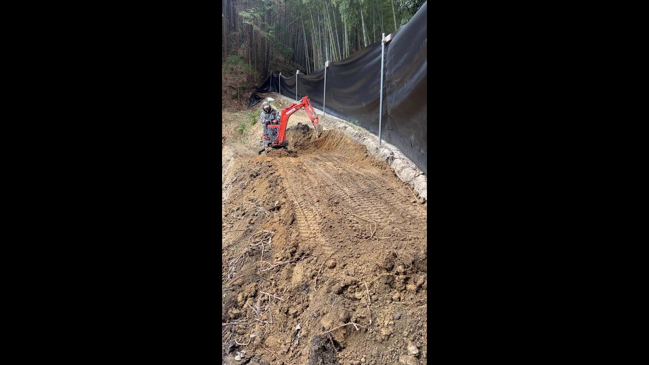 Live: Battle of the Backyard: Excavator vs Nature 